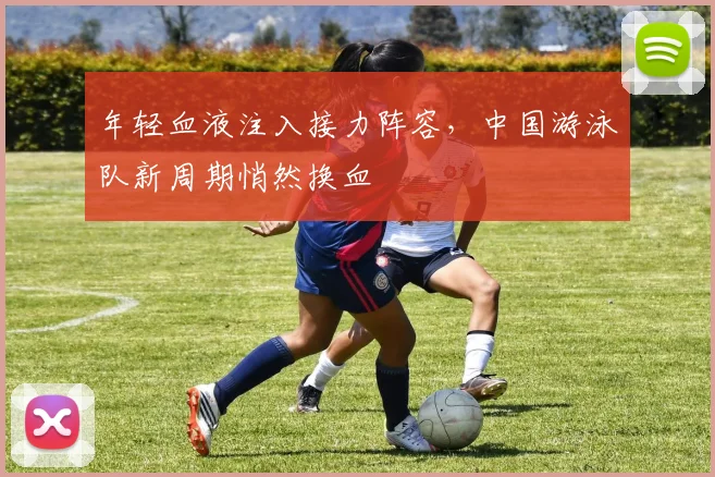 年轻血液注入接力阵容,中国游泳队新周期悄然换血