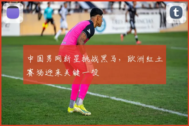 中国男网新星挑战黑马,欧洲红土赛场迎来关键一役