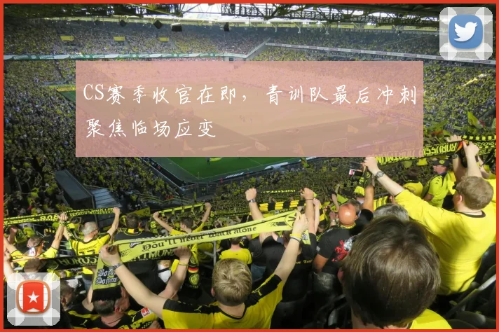 CS赛季收官在即,青训队最后冲刺聚焦临场应变
